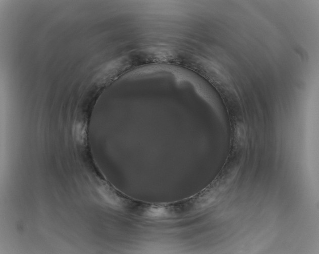 X0000111020177200906261548