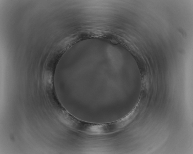 X0000111020178200906261548