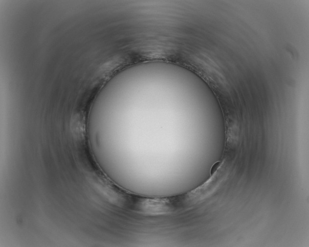 X0000111020179200906261548