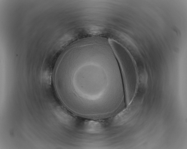 X0000111020180200906261548