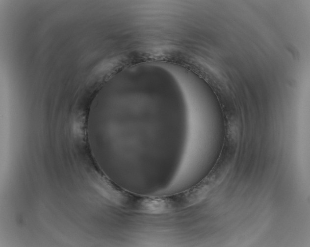 X0000111020181200906261548