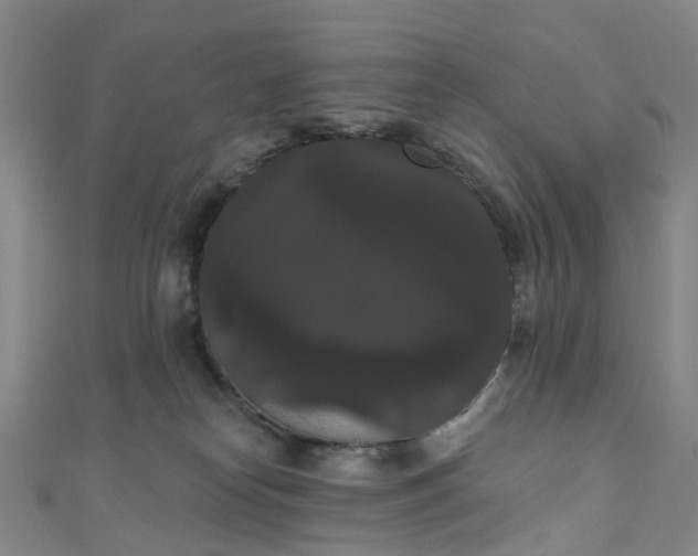 X0000111020182200906261548