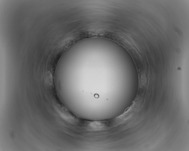 X0000111020183200906261548