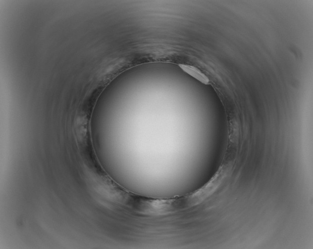 X0000111020184200906261548