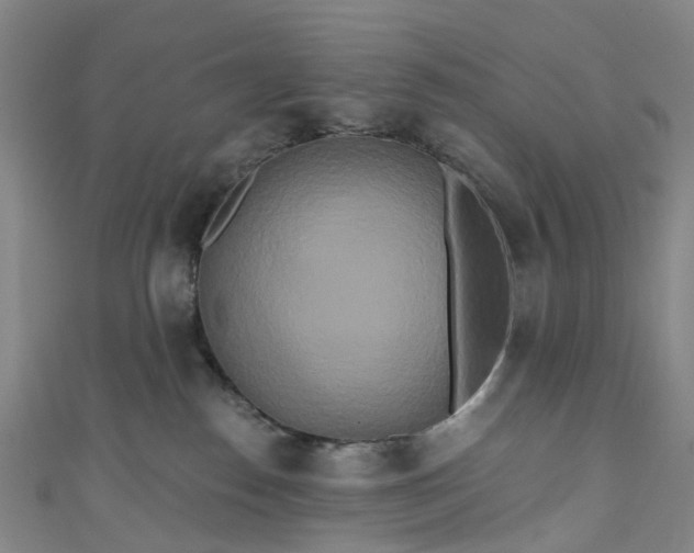 X0000111020186200906261548