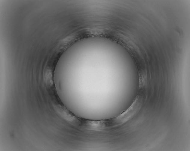 X0000111020187200906261548