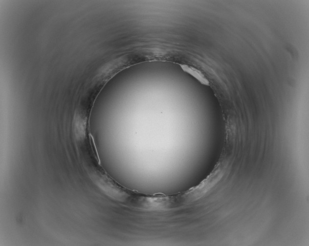 X0000111020188200906261548