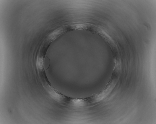 X0000111020189200906261548