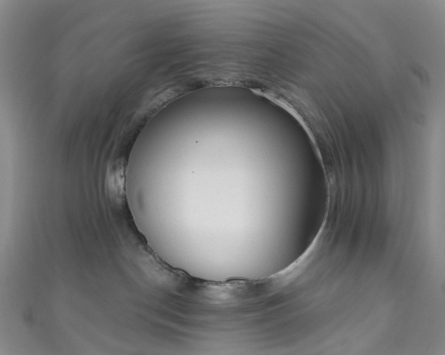 X0000111020190200906261548