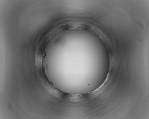 X0000111020191200906261548