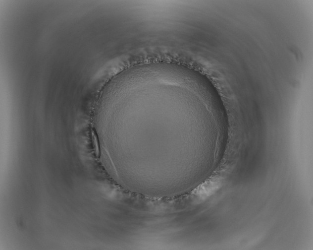 X0000111020192200906261548