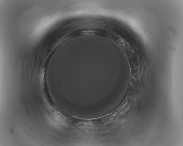 X0000111020194200906261547