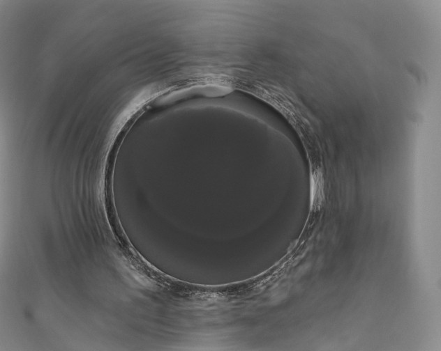 X0000111020195200906261547