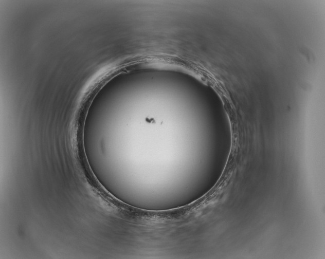X0000111020197200906261547