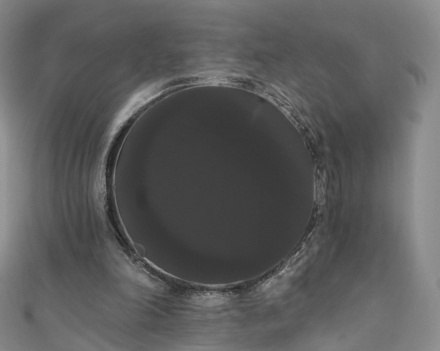 X0000111020198200906261547