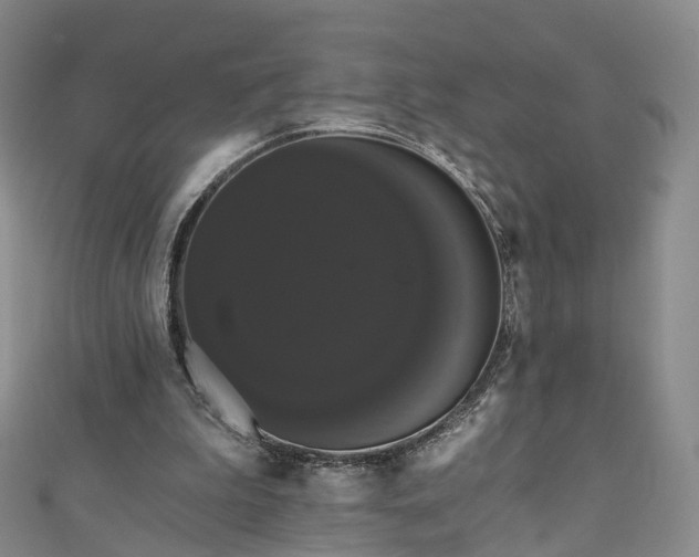 X0000111020199200906261547