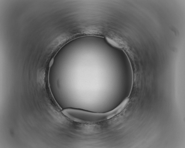 X0000111020201200906261547