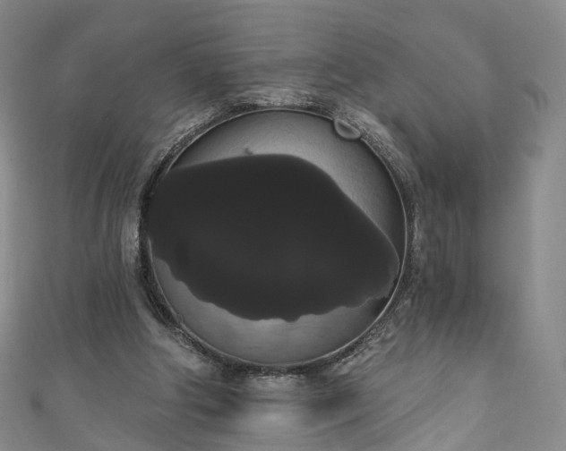 X0000111020202200906261547