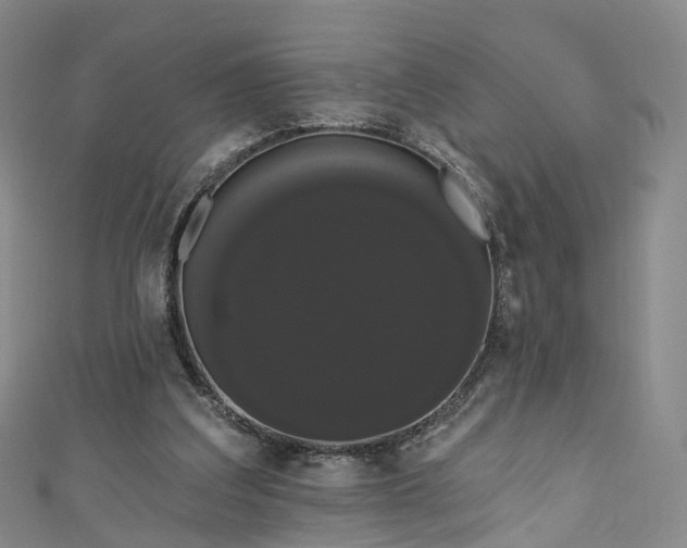 X0000111020203200906261547