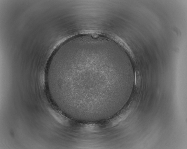 X0000111020204200906261547