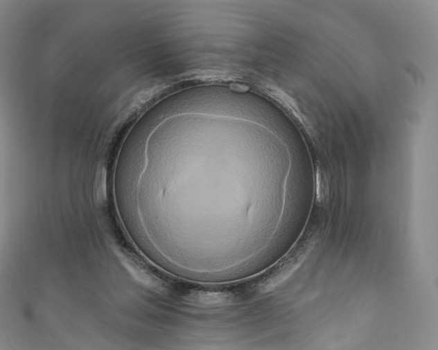 X0000111020205200906261547