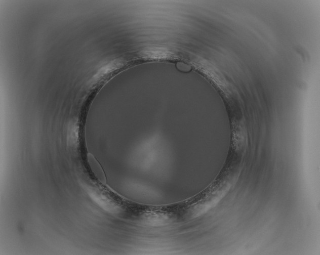 X0000111020207200906261547