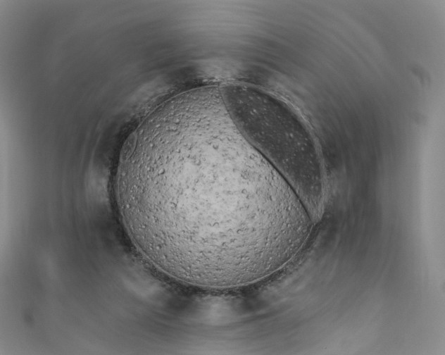 X0000111020209200906261547