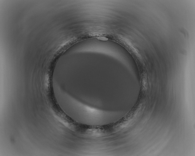X0000111020211200906261547