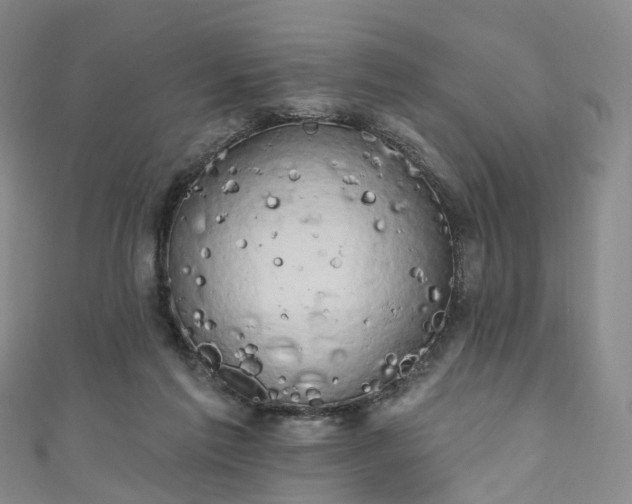 X0000111020213200906261547