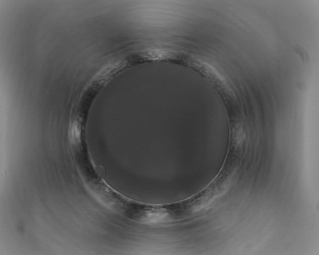 X0000111020214200906261547