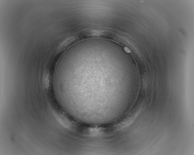 X0000111020216200906261547