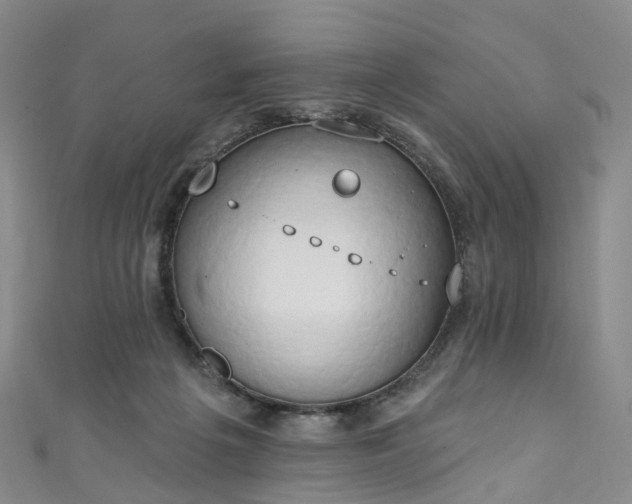 X0000111020217200906261547