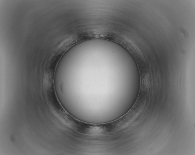 X0000111020218200906261547