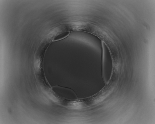 X0000111020219200906261547