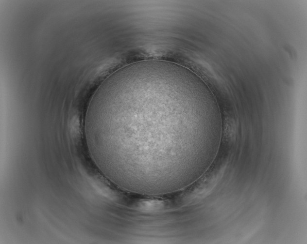 X0000111020220200906261547