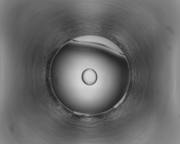 X0000111020221200906261547