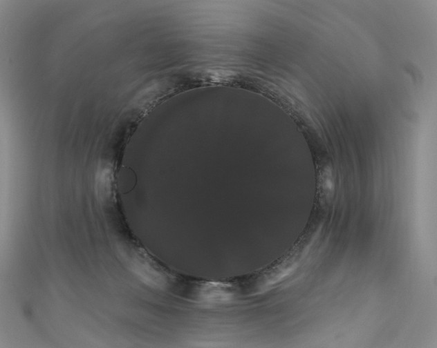 X0000111020222200906261547