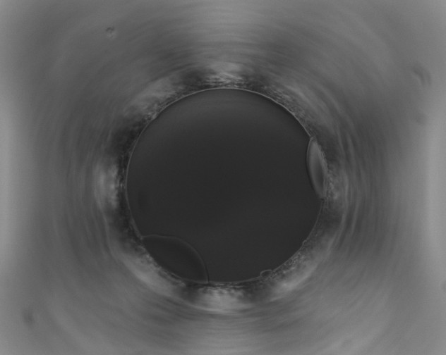 X0000111020223200906261547