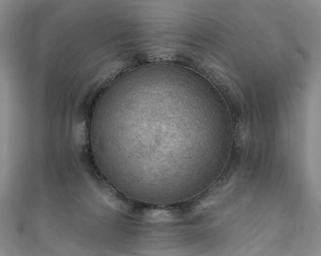 X0000111020224200906261547
