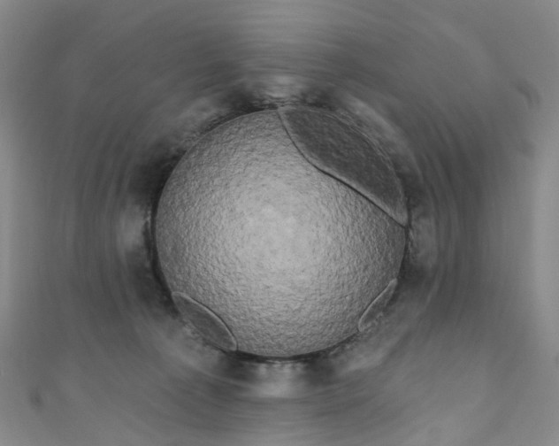 X0000111020225200906261547