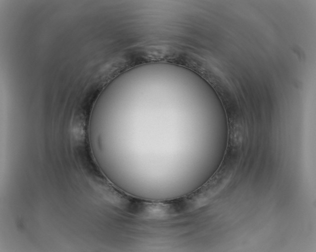 X0000111020226200906261547