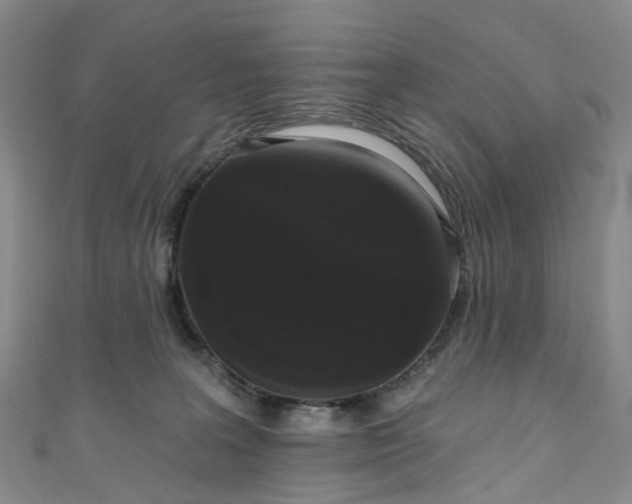 X0000111020227200906261547
