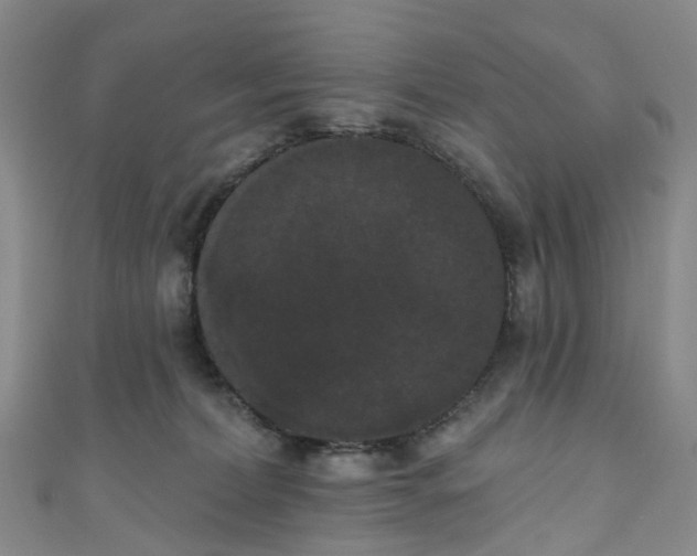 X0000111020228200906261547