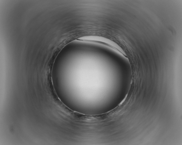 X0000111020229200906261547