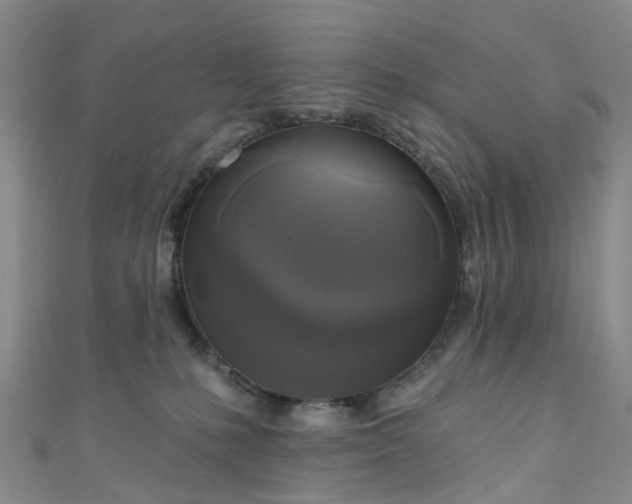X0000111020231200906261547