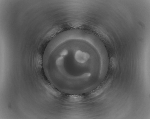 X0000111020234200906261547