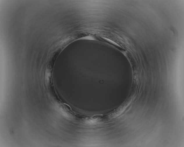 X0000111020235200906261547