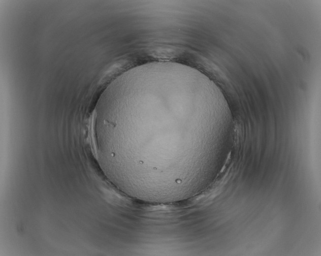 X0000111020237200906261547