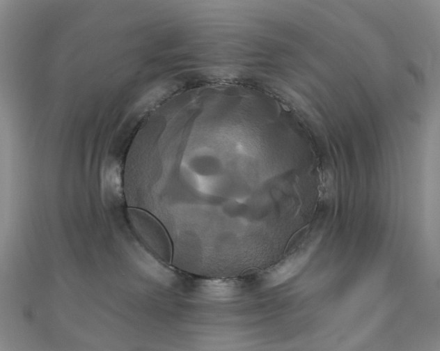 X0000111020238200906261547