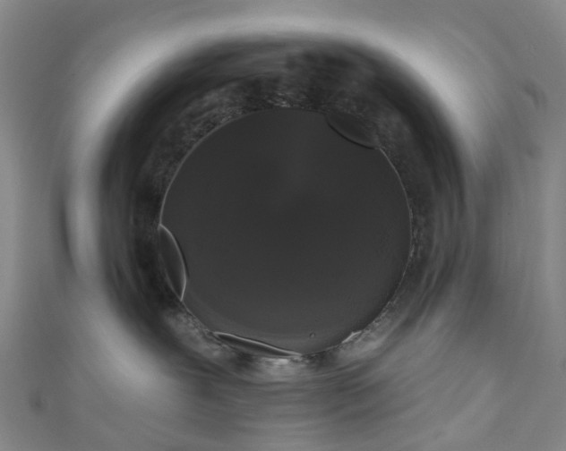 X0000111020239200906261547